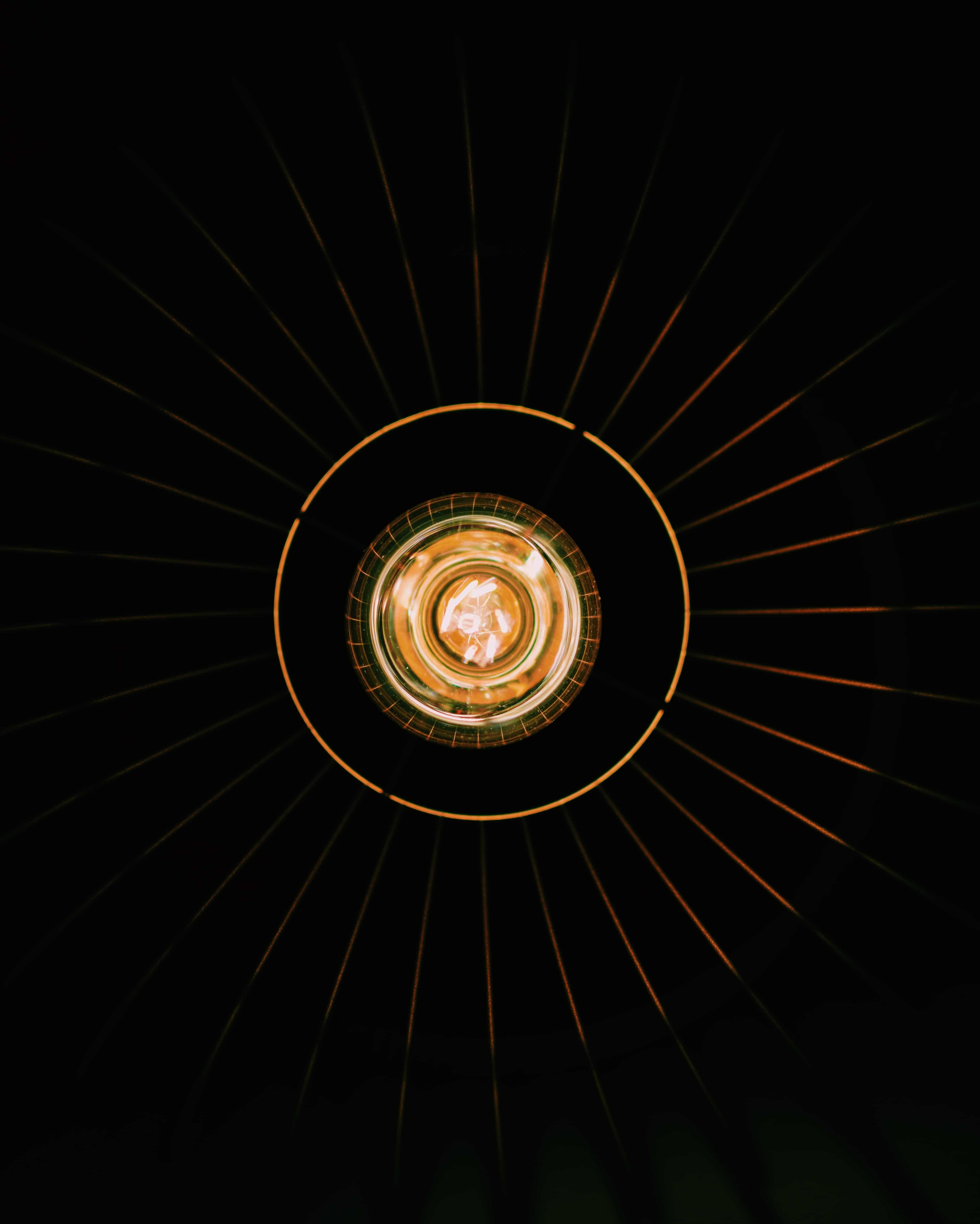 stefan-cosma-GVlcXhQejA8-unsplash